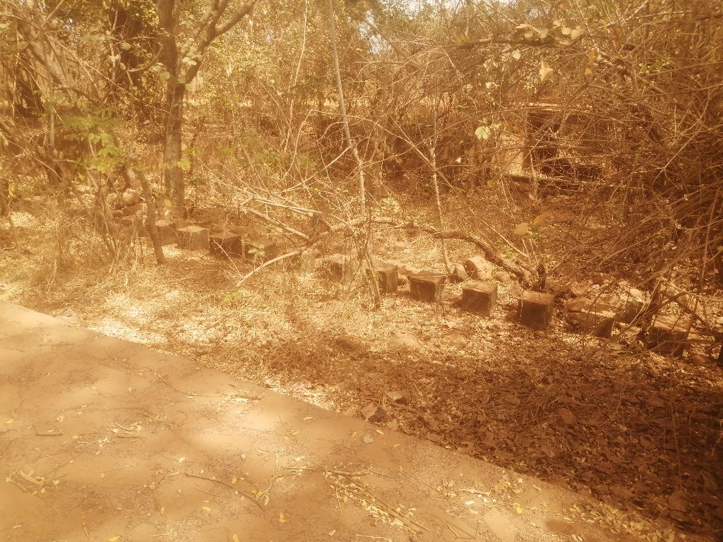 Photo de l'infrastructure