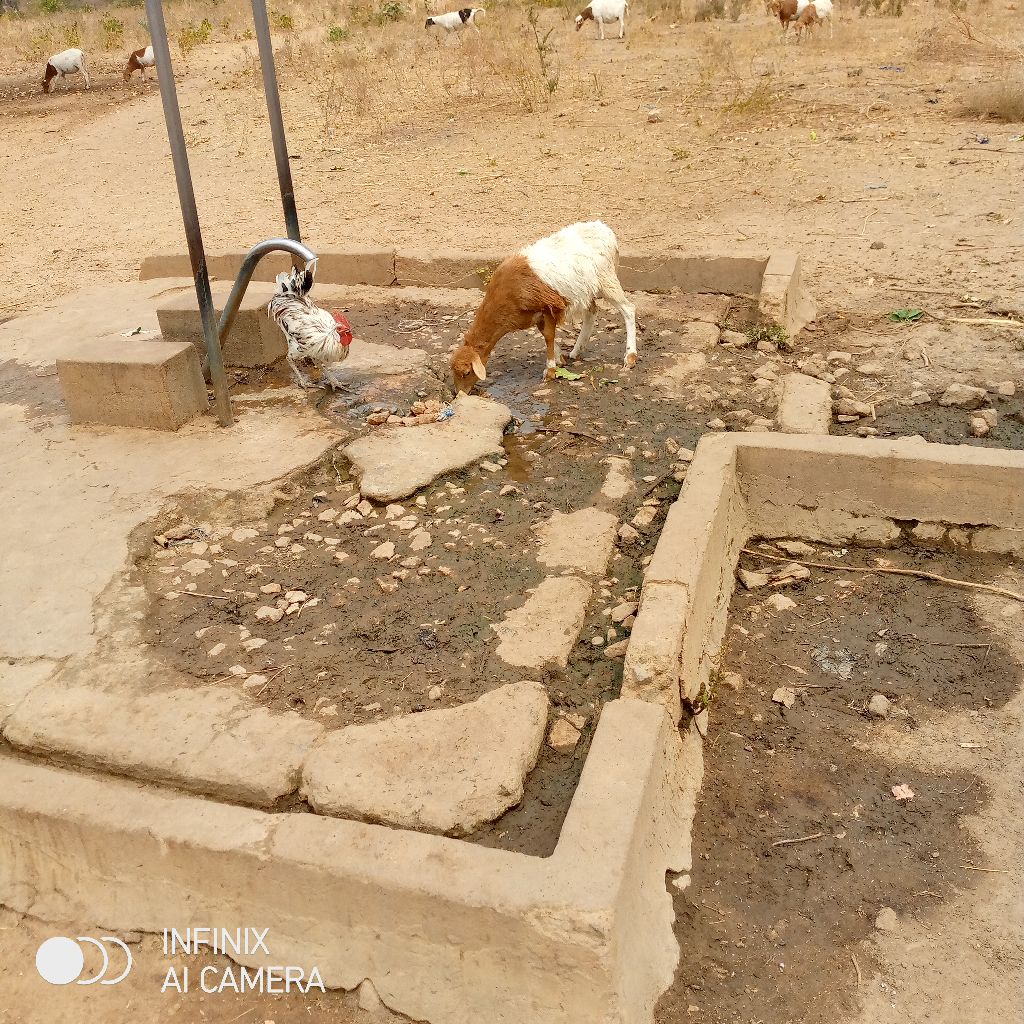 Photo de l'infrastructure