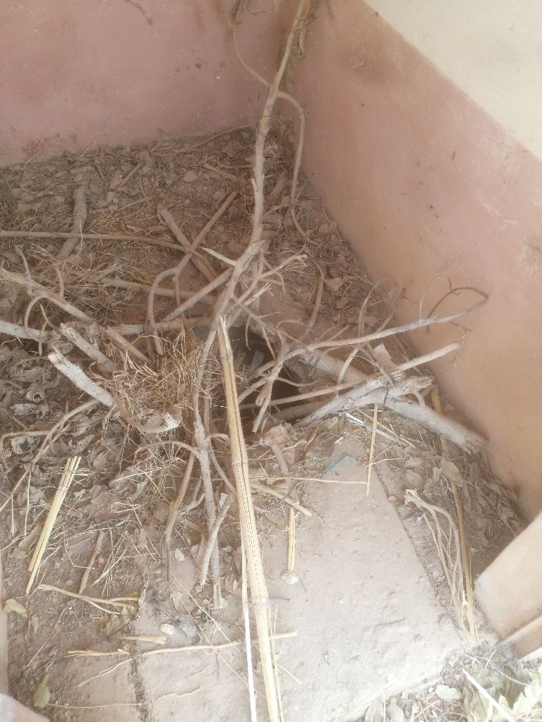 Photo de l'infrastructure