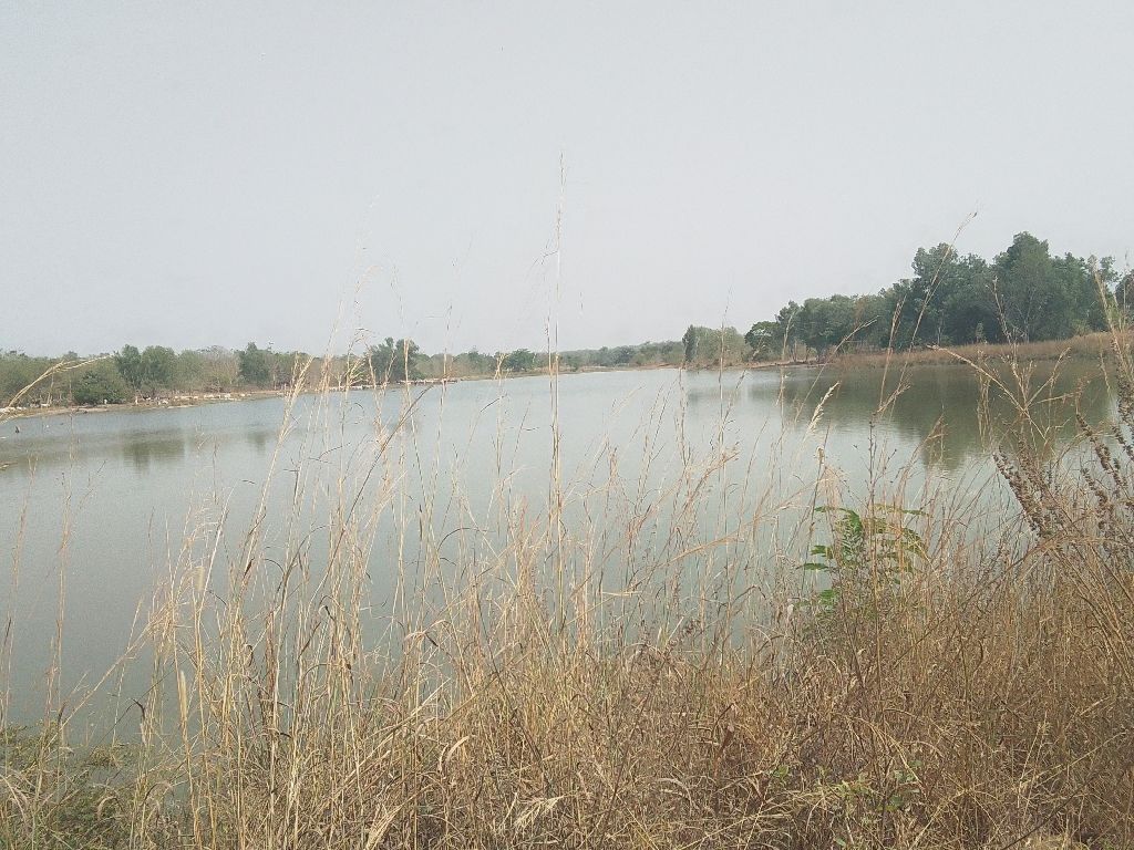 Photo de l'infrastructure